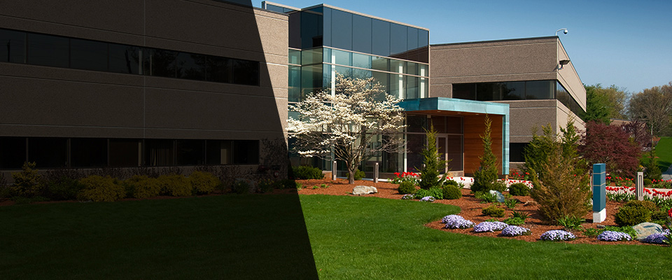 Port Royal Landscapers