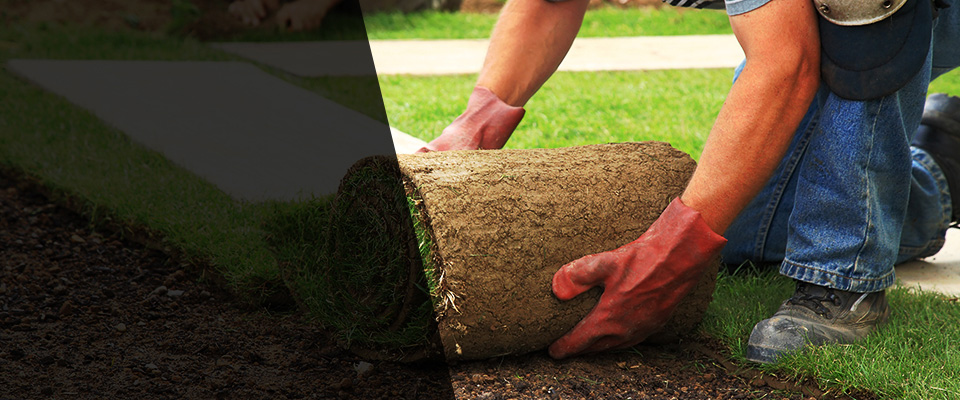 Port Royal Landscapers